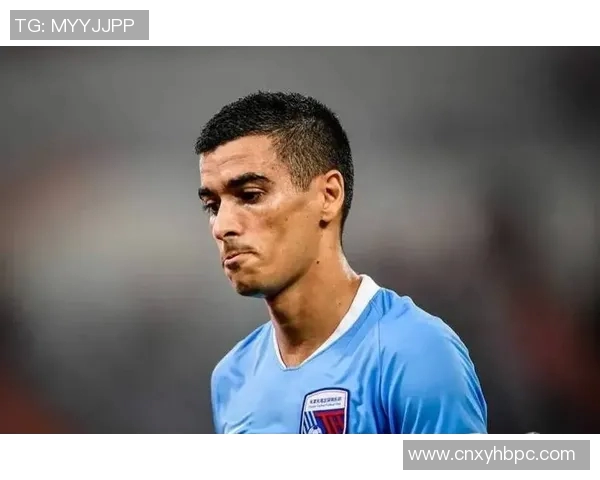 德甲外援异军突起实力获肯定 德甲外援异军突起实力获肯定