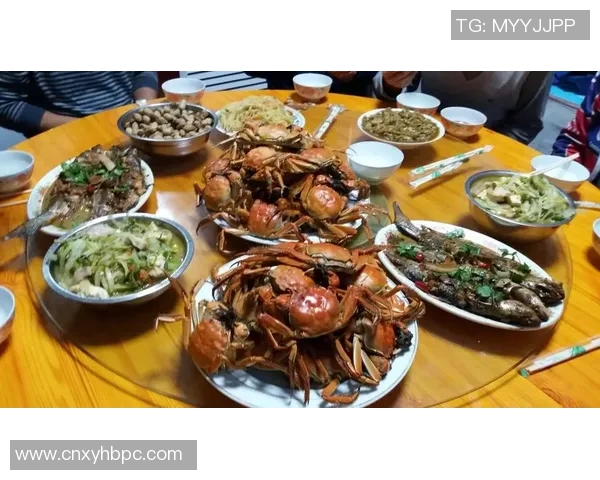 摩洛哥公主姚明的传奇人生与中摩文化交融之旅