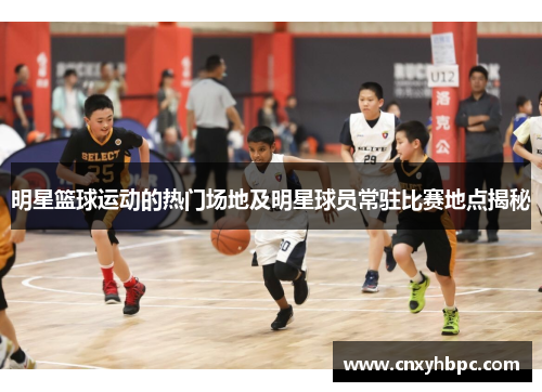明星篮球运动的热门场地及明星球员常驻比赛地点揭秘