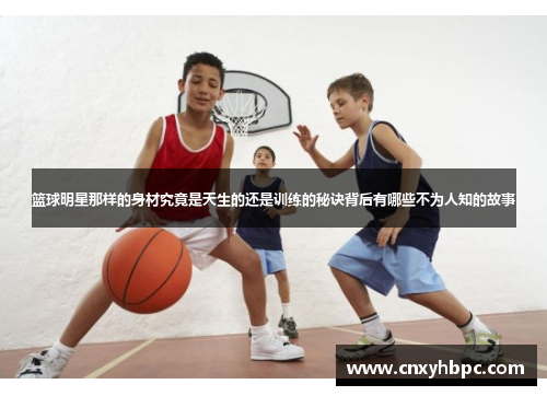 篮球明星那样的身材究竟是天生的还是训练的秘诀背后有哪些不为人知的故事