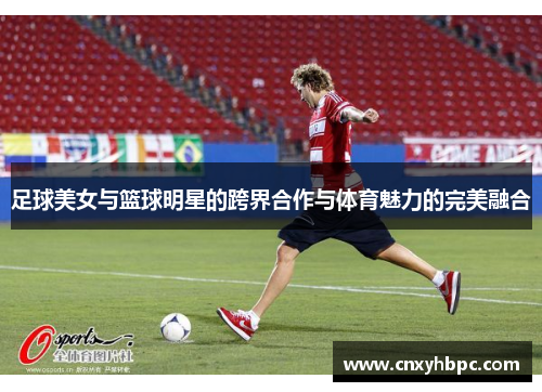 足球美女与篮球明星的跨界合作与体育魅力的完美融合