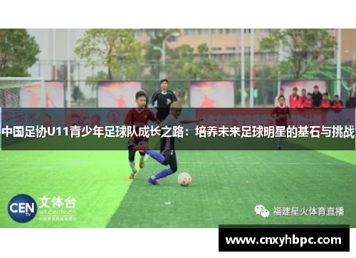 中国足协U11青少年足球队成长之路：培养未来足球明星的基石与挑战